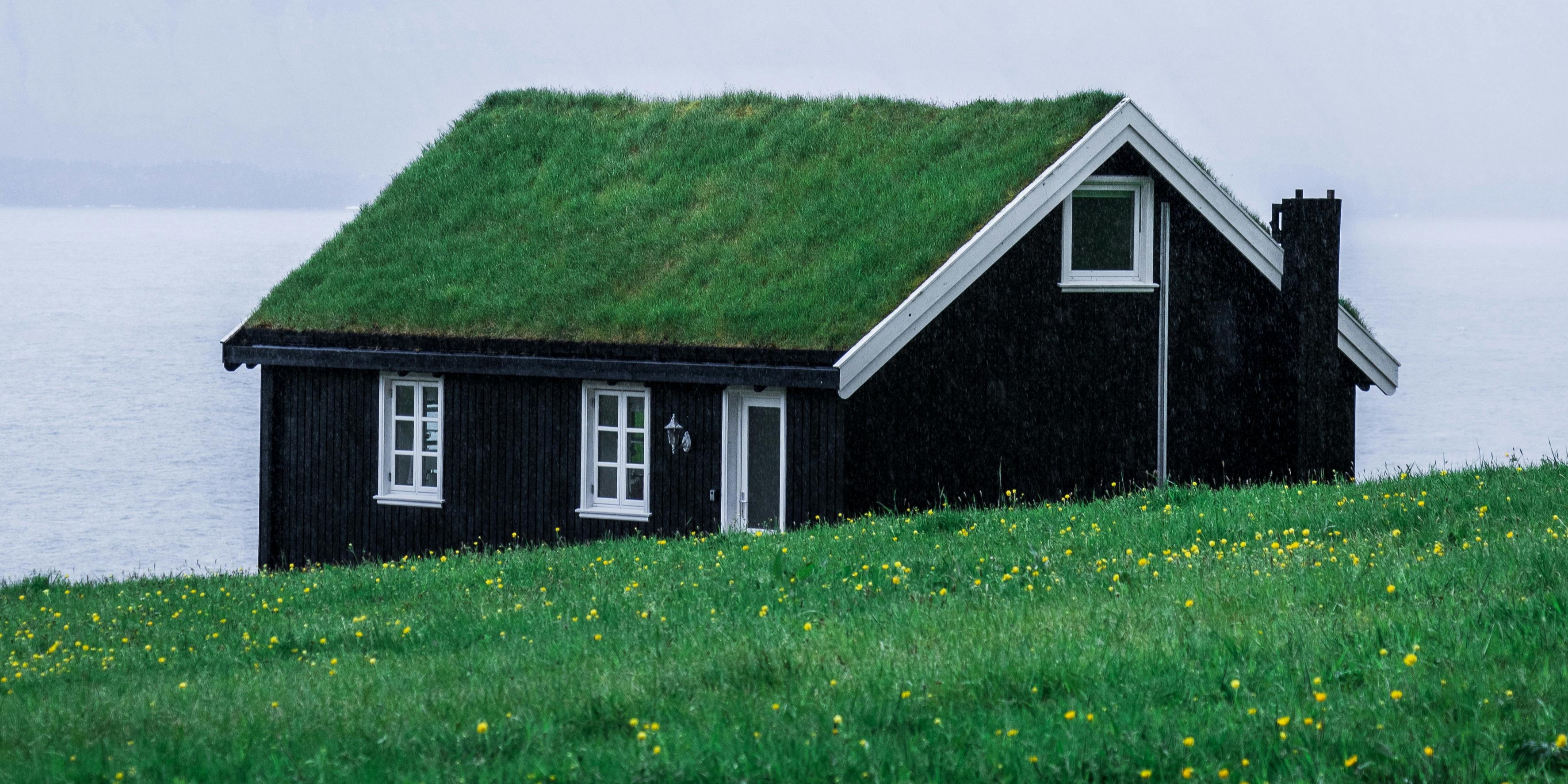 A green roof with vegetation, providing excellent insulation and eco-friendly benefits.