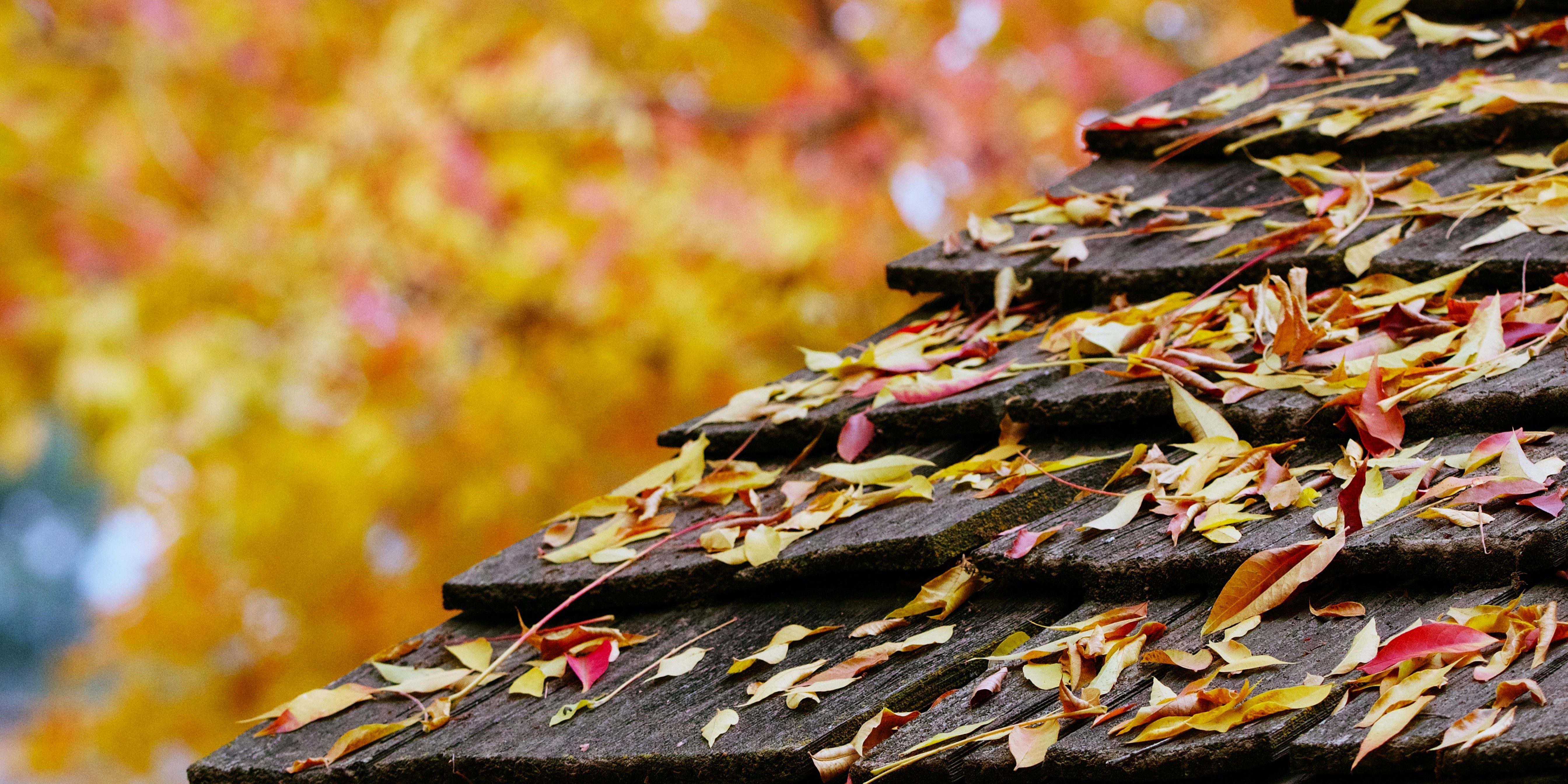 Wood shingles on a rustic home, offering a natural aesthetic and eco-friendly appeal.